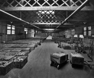 Interior of the component store