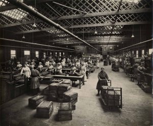 Workers in the 'box factory'