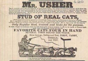 Mr Usher and his stud of performing cats