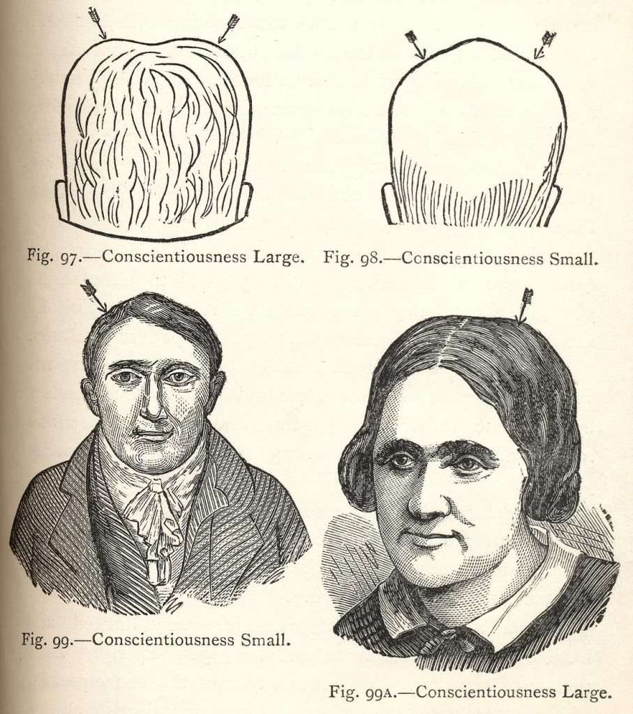 Conscientiousness diagram