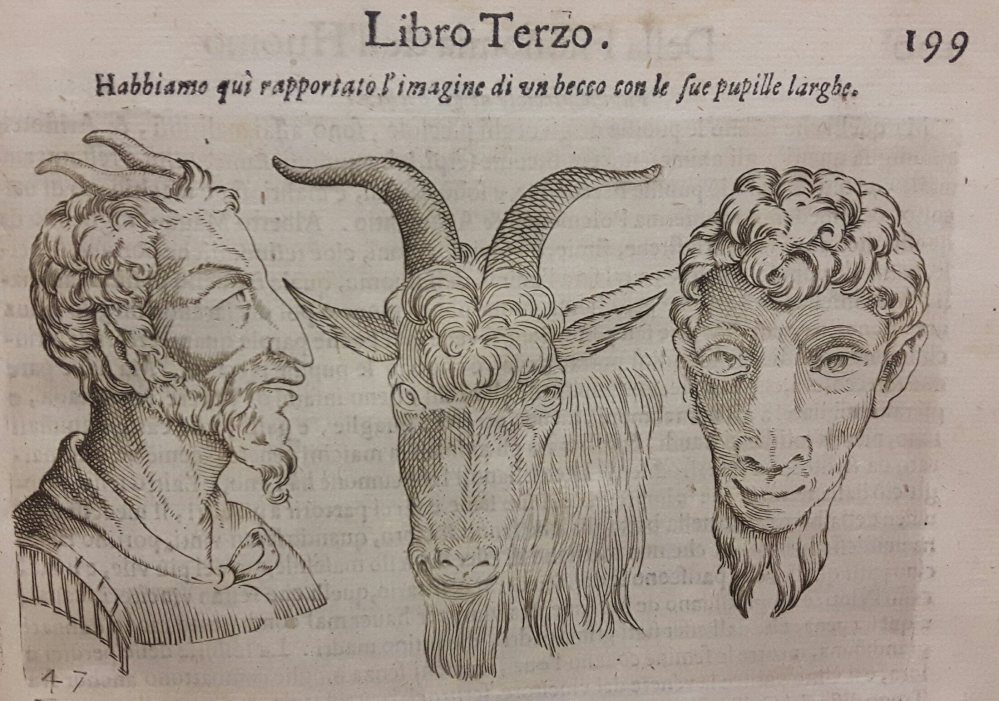 Residents of "Innsmouth, MA."