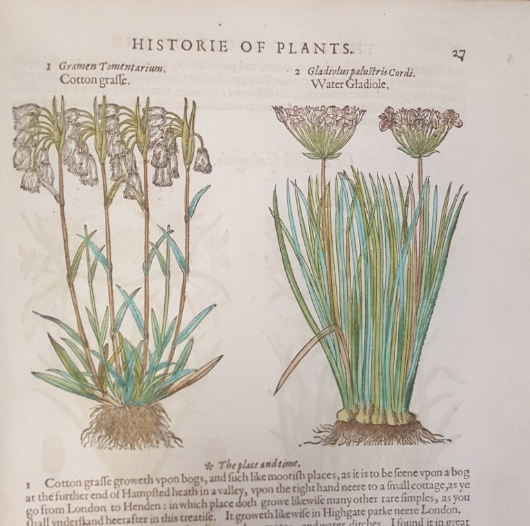 The History of Book Illustration – The Secret Library | Leeds Libraries ...