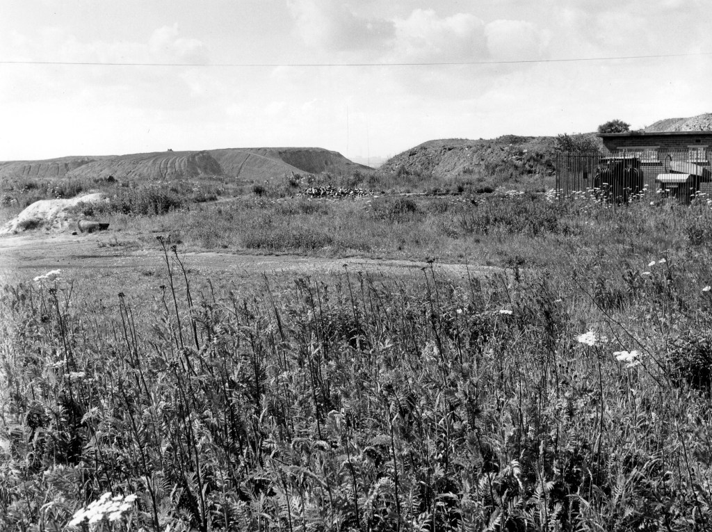 Black and white photograph of an old mine. Plants grow in the foreground and hills are in the distance.