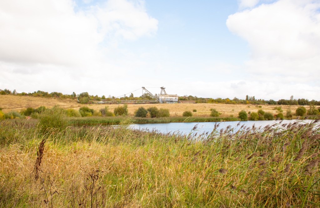 Photograph of an RSPB site, plants are in the foreground and a lake in mid distance and large mining machinery in the background.